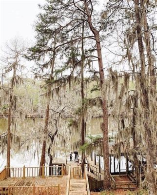  The Cypress Tree - Bir Mısır Efsanesinin Gizemli ve Derin Mesajı!