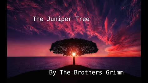  The Juniper Tree: Bir Çocukluk Kabusu mu Yoksa Umutlu Bir Son mu?